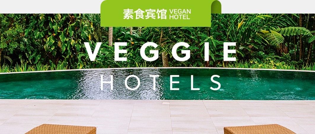 素易购GoVegan