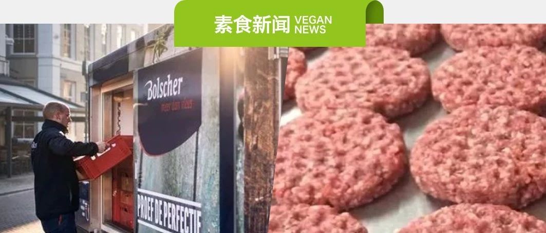 素易购GoVegan