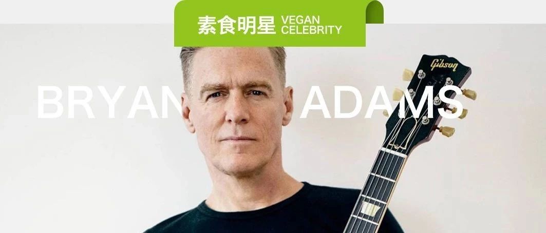 素易购GoVegan