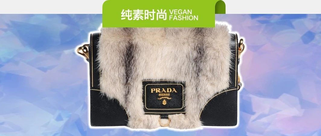 素易购GoVegan