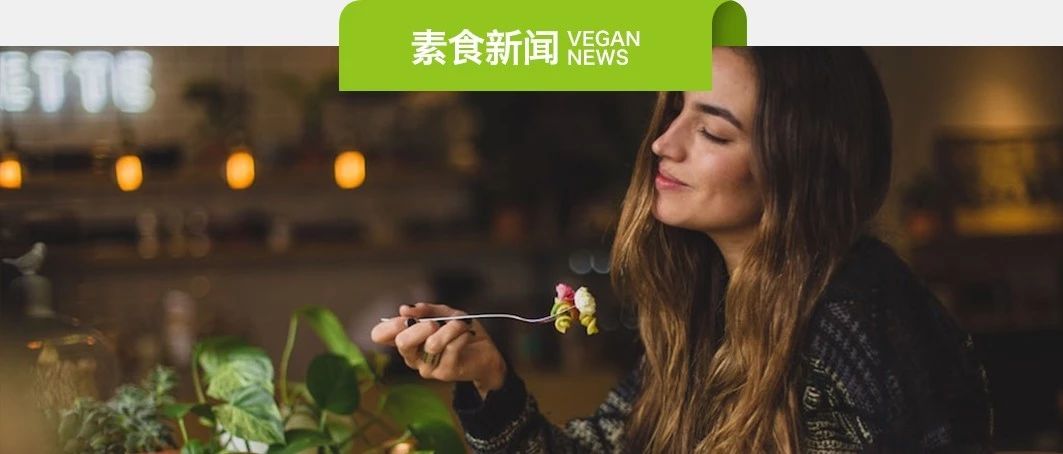 素易购GoVegan