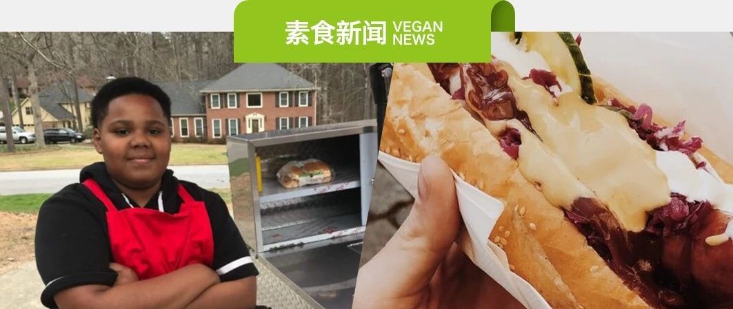 素易购GoVegan