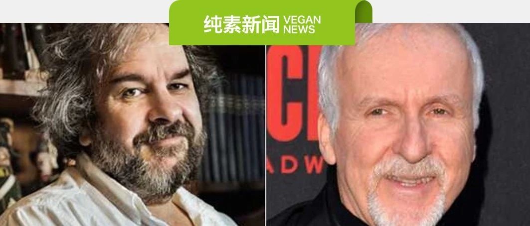 素易购GoVegan