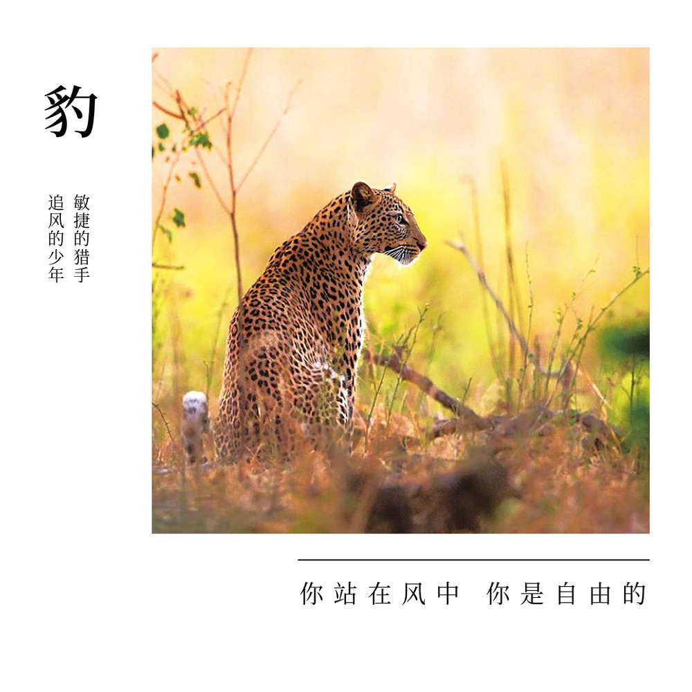 杭州市萧山区野生动物保护协会