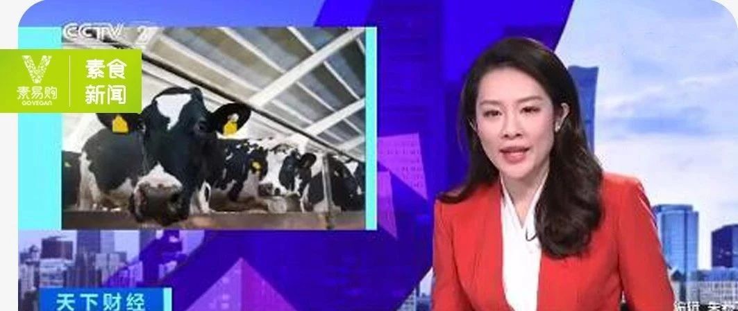 素易购GoVegan